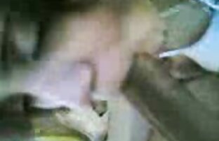XXX Băng xxx có nội dung đảng D.